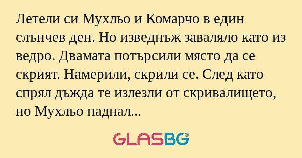 Летели си Мухльо и Комарчо в един...