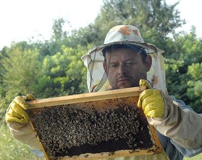 40% от пчелите в Пловдивско измряха от студ и отрови