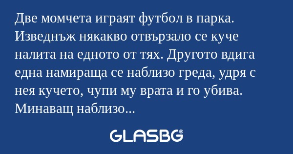 Две момчета играят футбол в парка. Изведнъж някакво отвързало се куче налита на едното от тях. Другото вдига една намираща се наблизо греда, удря с нея кучето, чупи му врата и го убива. Минаващ наблизо спортен репортер става неволен свидетел на случк