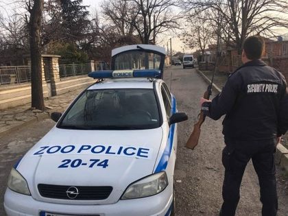 Сливен: Полицията разследва сигнал за три котки, простреляни с въздушна пушка в квартал „Речица“