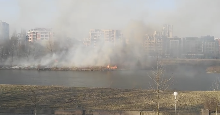Голям пожар в коритото на Марица в Пловдив!
