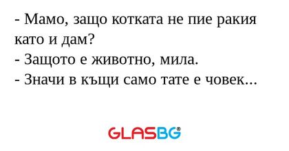 Мамо, защо котката не пие ракия...