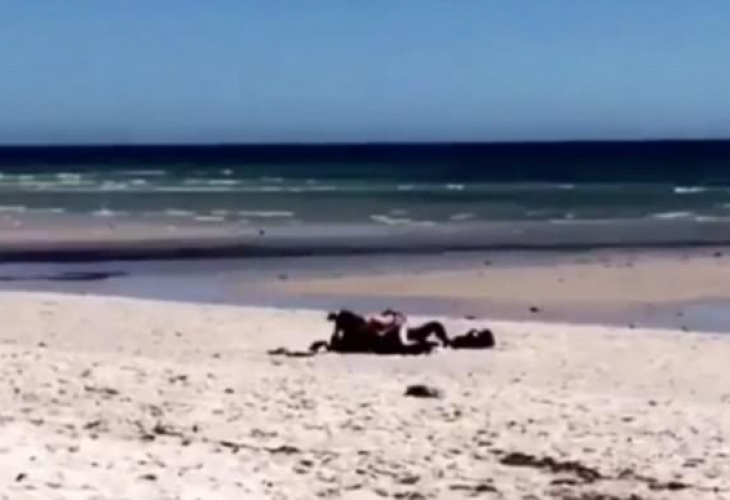 Развратна двойка прави здрав секс на плажа пред очите на шокирани очевидци (СНИМКИ/ВИДЕО 18+)
