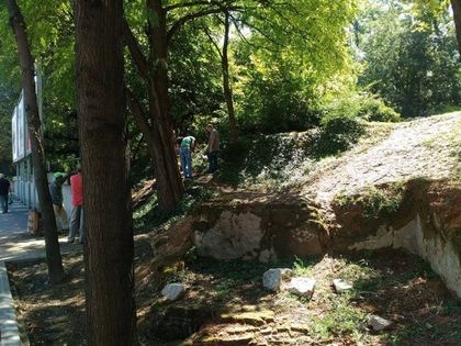 Създават регистър на столетните дървета в Пловдив