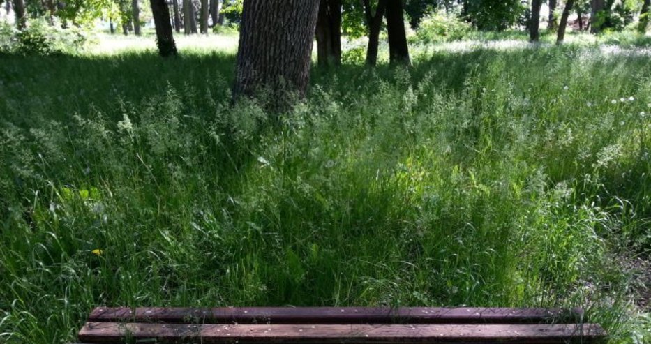 Старт на кампанията срещу кърлежи във Варна