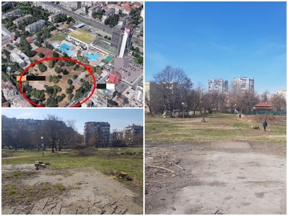 Ще се застроят ли 18 дка парк зад хотел „Санкт Петербург” в Пловдив? Върви масова сеч СНИМКИ