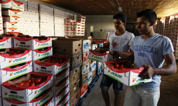 В Румъния ДДС за земеделските продукти става 5%