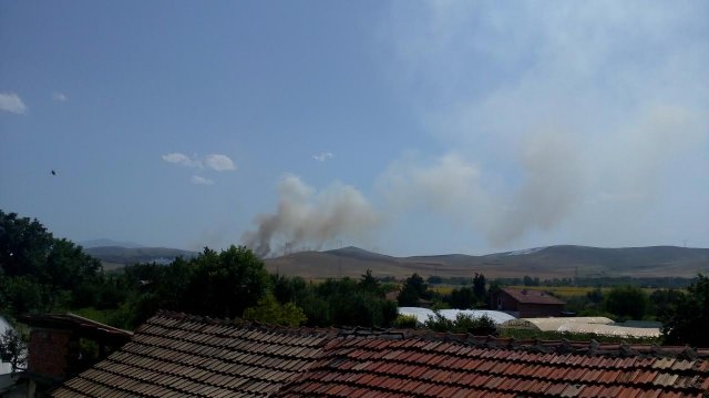 Голям пожар край Триводици СНИМКИ
