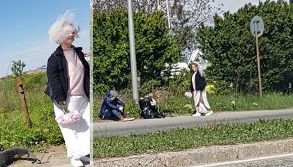 Булка маха на "стоп" на пътя Русе - Варна