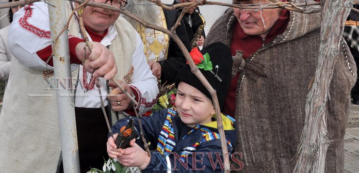 5-годишен заряза лозето в Голямо Асеново