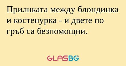 Приликата между блондинка и костенурка...