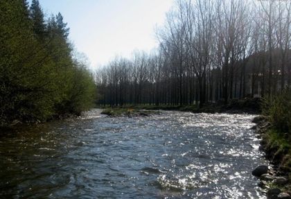 Труп на мъж изплува от водите на река Искър