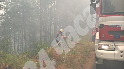 Кметът на Ардино: Готови сме да подслоним хората, чиито домове са заплашени