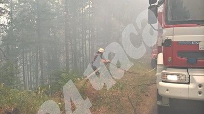 Кметът на Ардино: Готови сме да подслоним хората, чиито домове са заплашени