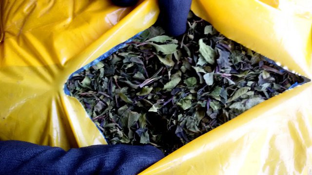 21-годишен неосъждан пловдивчанин е получателят на дрогата кхат