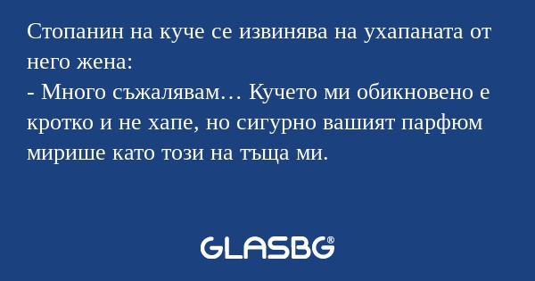 Стопанин на куче се извинява на...