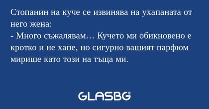 Стопанин на куче се извинява на...