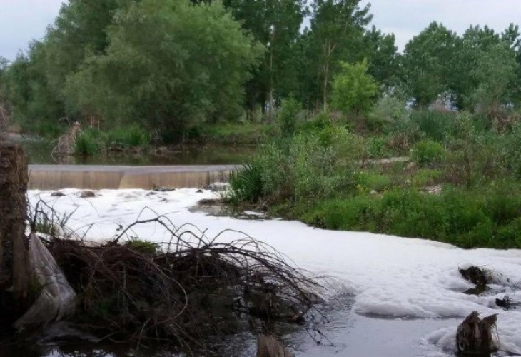 Трупове плуват по течението на река Цибрица