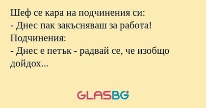 Шеф се кара на подчинения си...