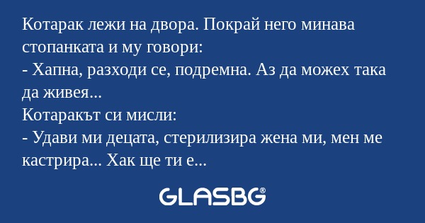 Котарак лежи на двора. Покрай него...