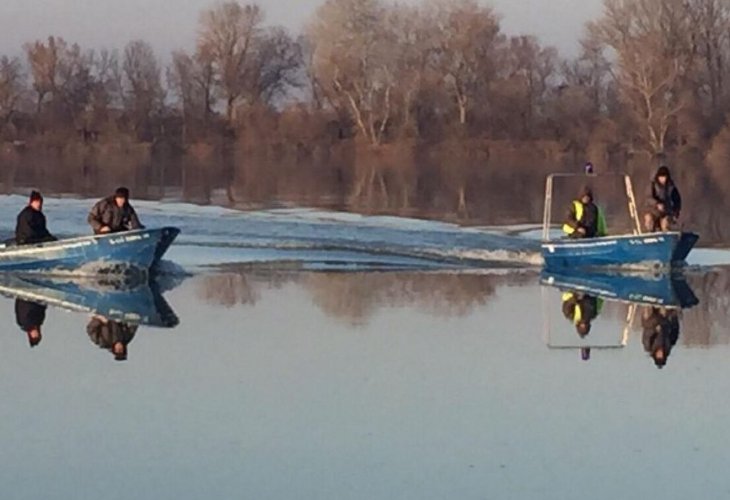 Чудовището, извадено от водите на Дунав край Айдемир се оказа истински звяр! Зрелищни СНИМКИ/ВИДЕО (18+)
