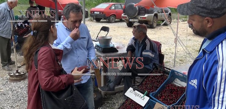 Политици купуват от скъпите череши край Крепост/ВИДЕО/