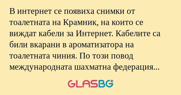 В интернет се появиха снимки от тоалетната на Крамник, на които се виждат кабели за Интернет. Кабелите са били вкарани в ароматизатора на тоалетната чиния. По този повод международната шахматна федерация ще иска да се направи рентгенова снимка на Кра