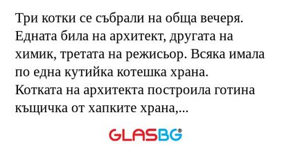 Три котки се събрали на обща вечеря...