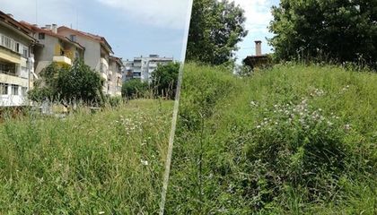 Ако не можете да косите, елате и асфалтирайте поляните!
