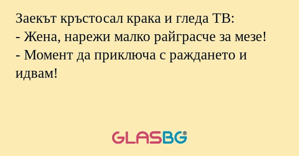 Заекът кръстосал крака и гледа...