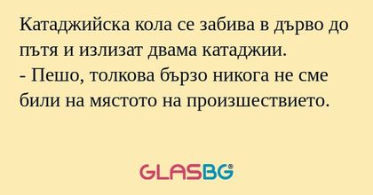 Катаджийска кола се забива в дърво...