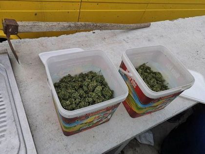 Баща и син от кв. Банева забъркани в наркобизнес, съхранявали марихуана и пико в кофи от сирене