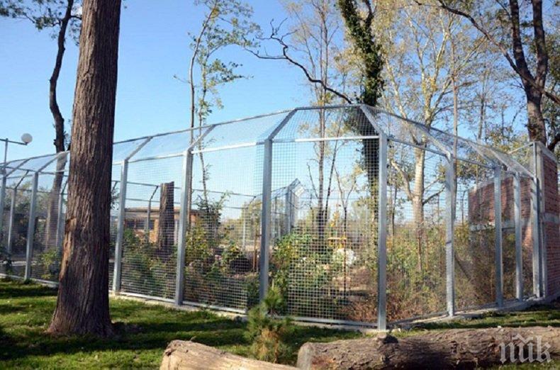 Зоопарк в Пловдив няма, 26 работника на щат обгрижват 6 маймуни