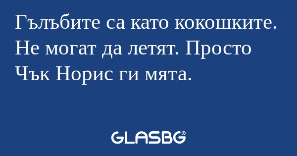 Гълъбите са като кокошките. Не...