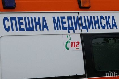 Оса едва не уби Емо от село Склаве! Кръвното му паднало до 0, жена му крещяла от ужас