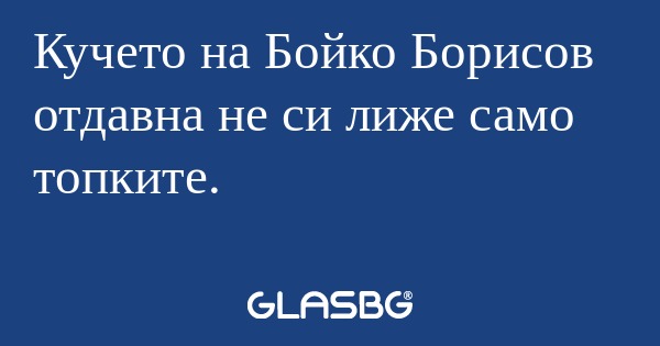 Кучето на Бойко Борисов отдавна...