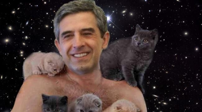 Малко коте президентско, има ли Дубай?