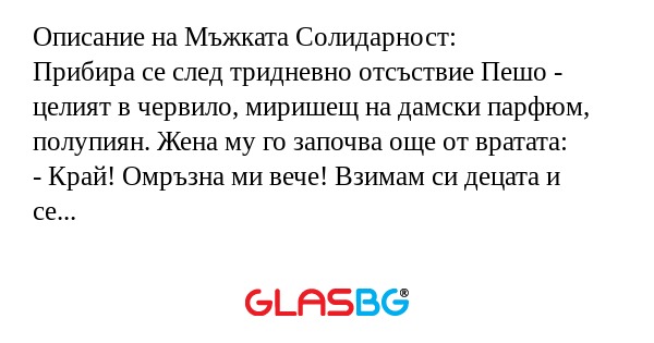 Описание на Мъжката Солидарност...