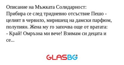 Описание на Мъжката Солидарност...