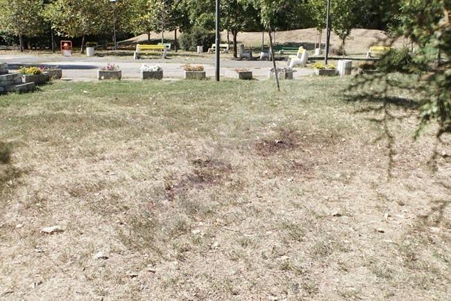 Убитият в столичен парк – удрян в главата с кол! Разследват пиянско-клошарска свада