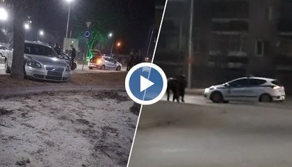 Полицейска гонка в Русе