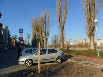Засадиха над 300 дръвчета край новите велоалеи