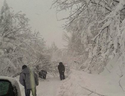 Безумие: 12 души поеха пеш в преспите от Бряновщица