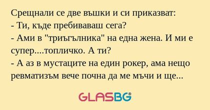 Срещнали се две въшки и си приказват...