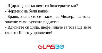 Щирлиц, какъв цвят са боксерките...