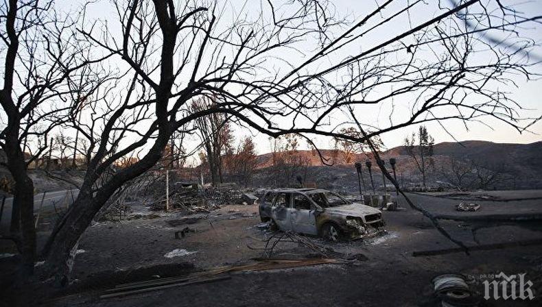 Трагедията расте: Броят на жертвите на пожарите в Калифорния достигна 42-ма души