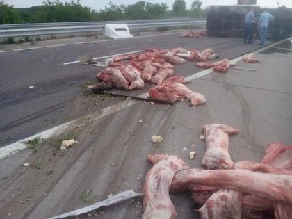 Ексклузивно: Тежка катастрофа затвори АМ 