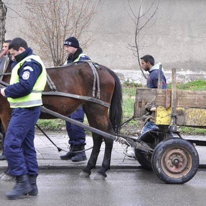 Побеснял кон на ром уби жена и рани друга
