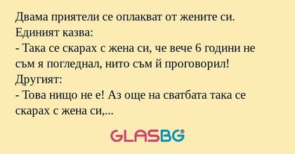Двама приятели се оплакват от жените...