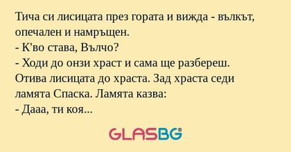 Тича си лисицата през гората и...